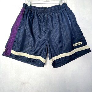 Vintage Tommy Hilfiger Shorts Mens Large L Satin Stripe Blue Purple Drawstring